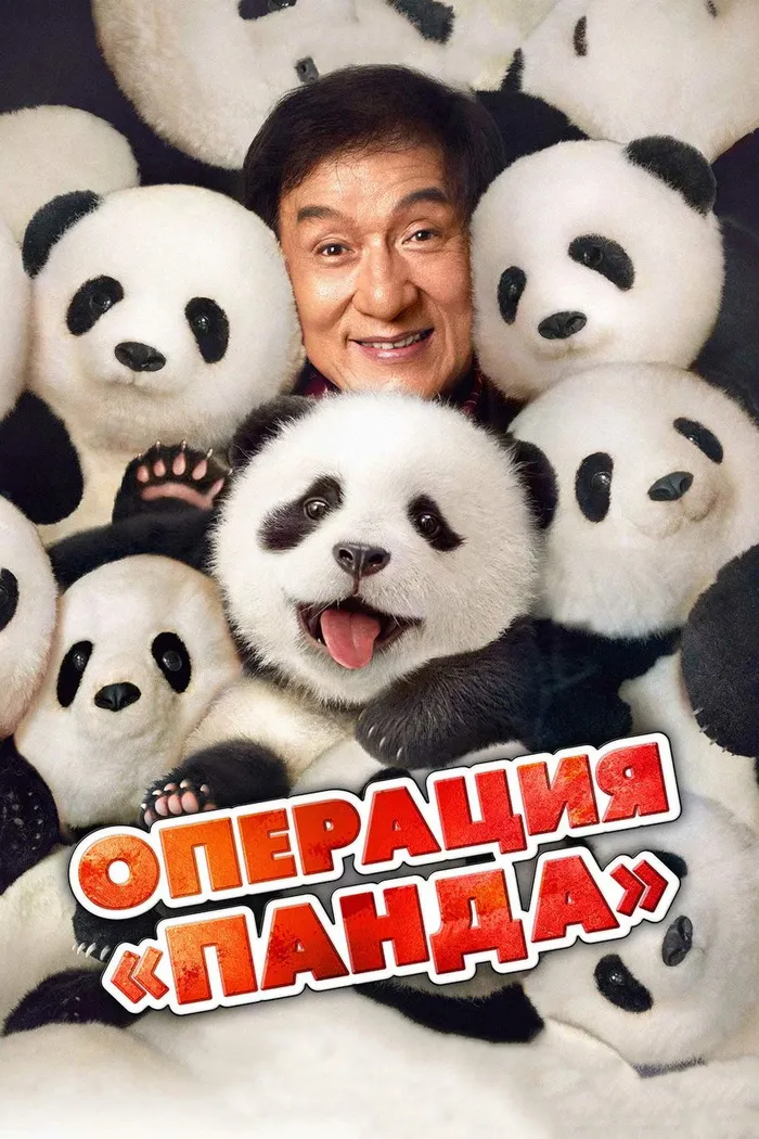 Операция «Панда» (2024) poster