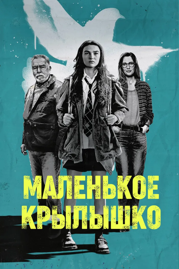 Маленькое крылышко (2024) poster