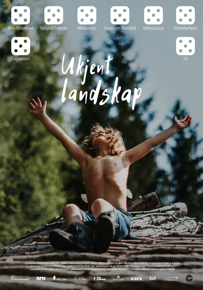 Ukjent landskap (2024) poster