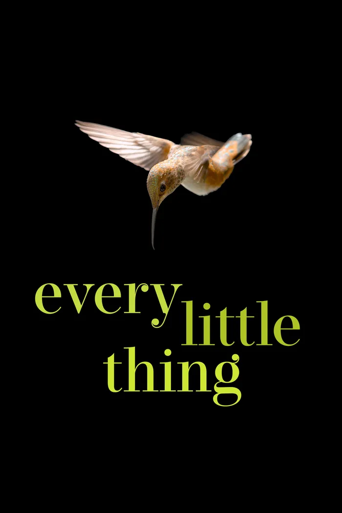 Every Little Thing (2024) poster