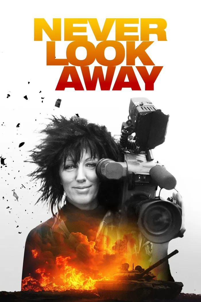 Never Look Away (2024) poster