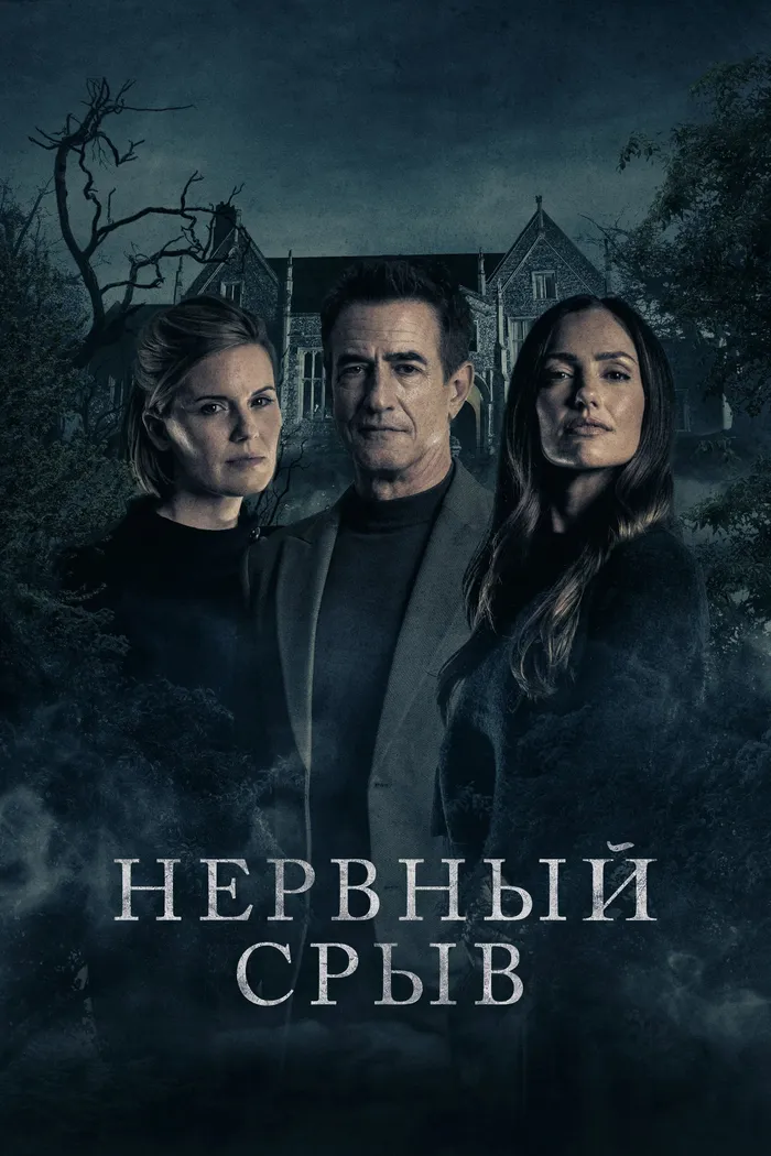 Нервный срыв (2024) poster