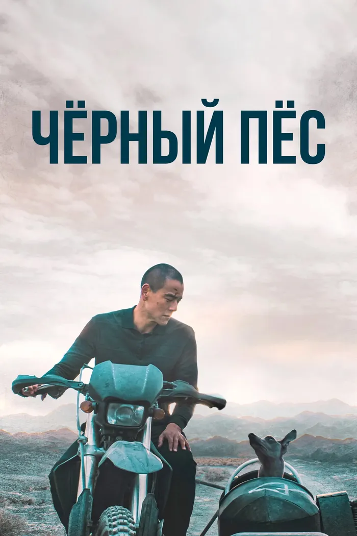 Чёрный пёс (2024) poster