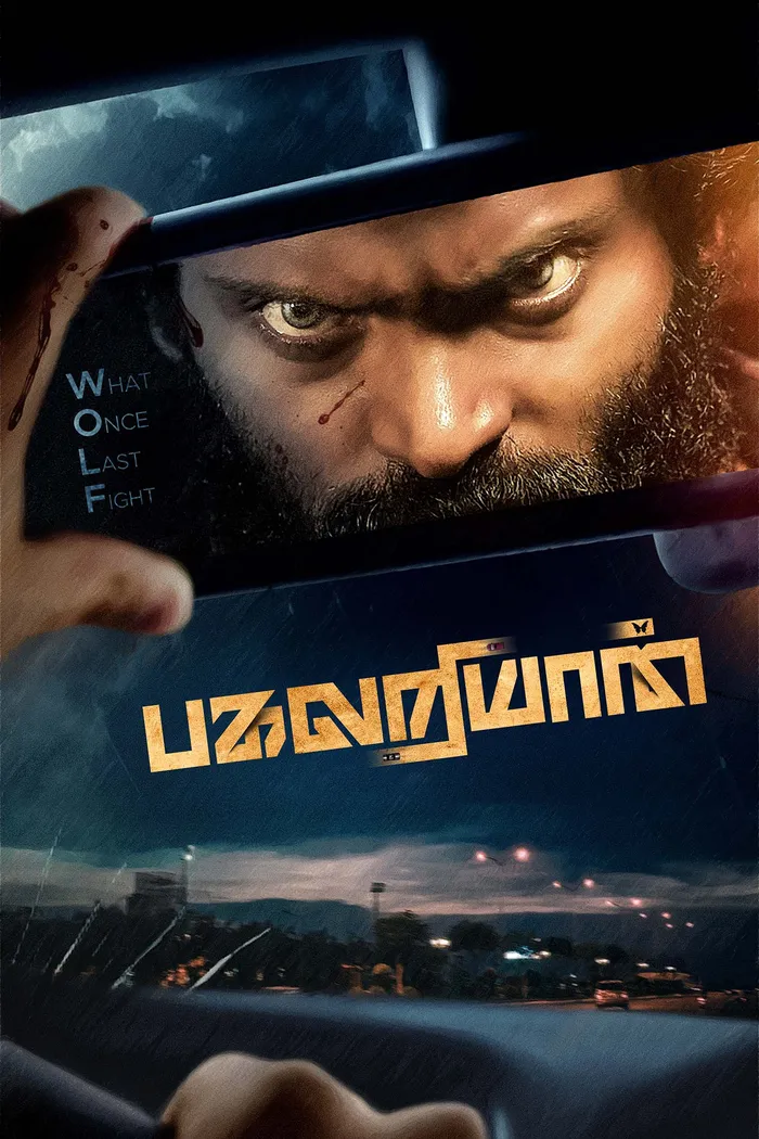 பகலறியான் (2024) poster