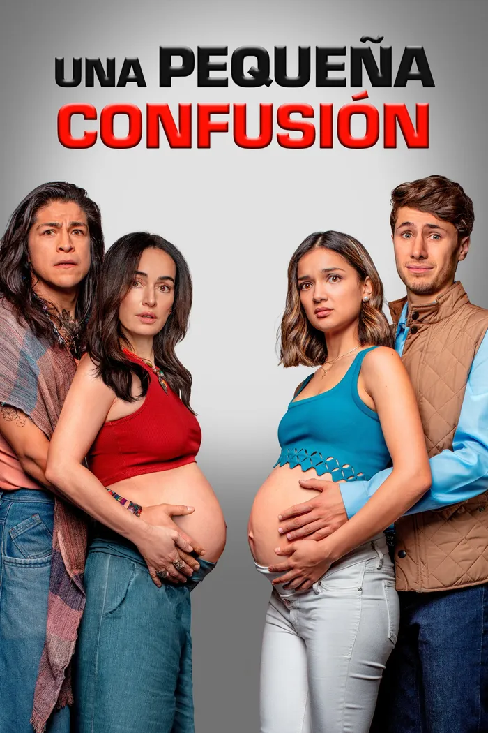 Una pequeña confusión (2024) poster