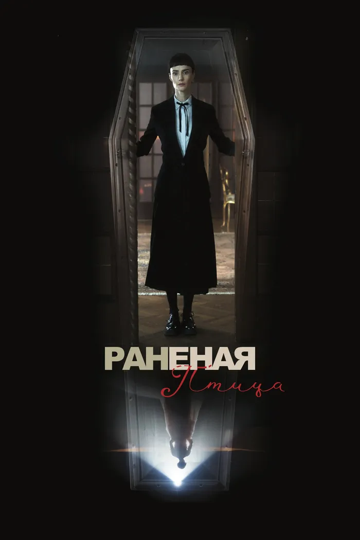 Сломанная птица (2024) poster