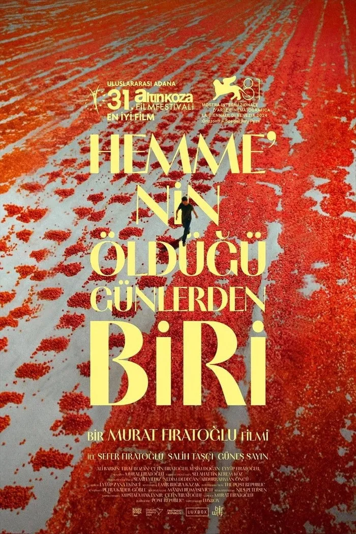 Hemme’nin Öldüğü Günlerden Biri (2024) poster