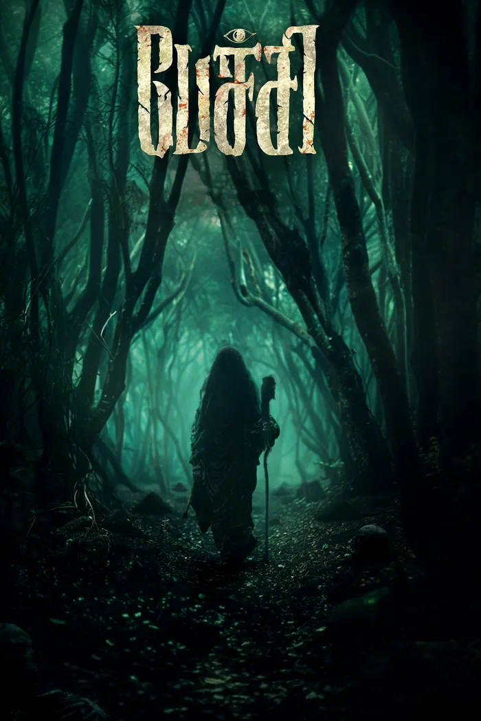 Печи (2024) poster