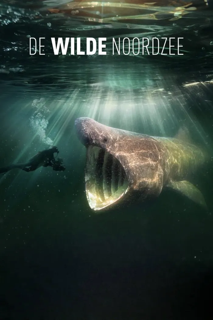 De wilde Noordzee (2024) poster