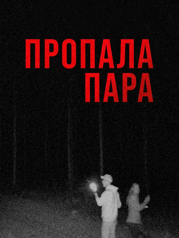Пропала пара (2024) poster