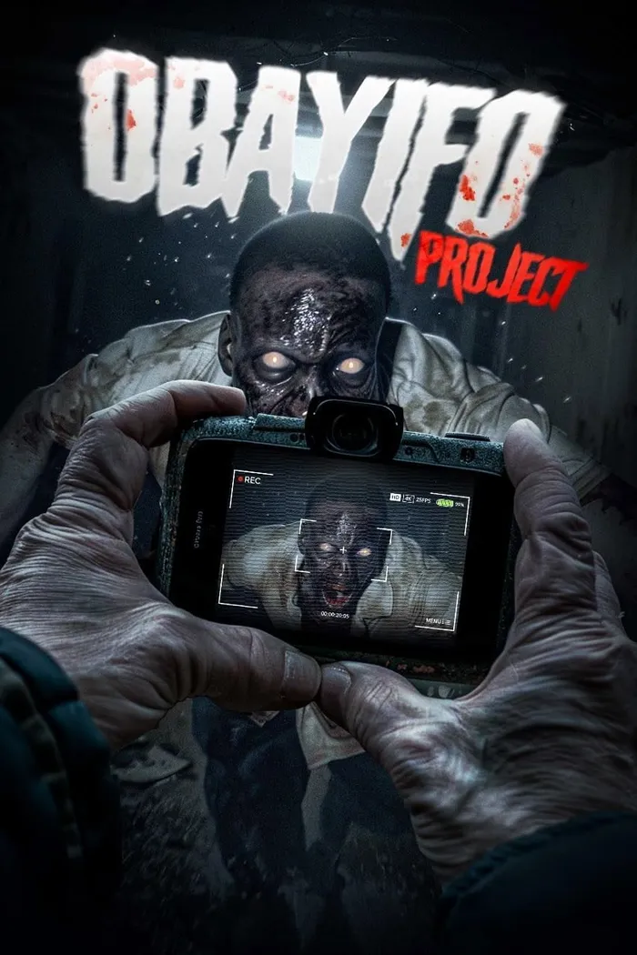 Obayifo Project (2024) poster
