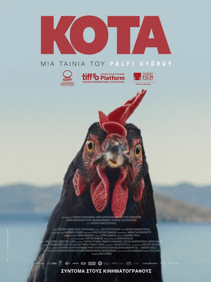 Курочка. Пух и прах (2025) poster