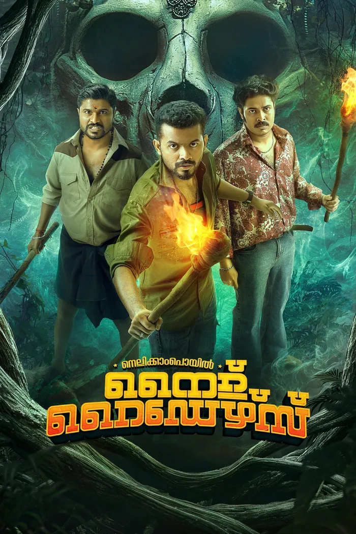 നെല്ലിക്കംപൊയിൽ നൈറ്റ് റൈഡേഴ്സ് (2025) poster