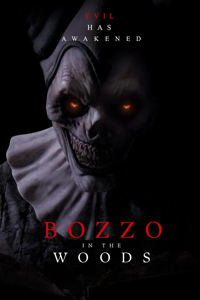 Bozzo in the woods (2025) poster