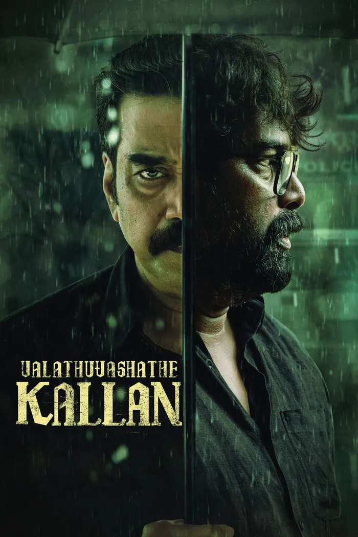 വലത് വശത്തെ കള്ളൻ (2026) poster