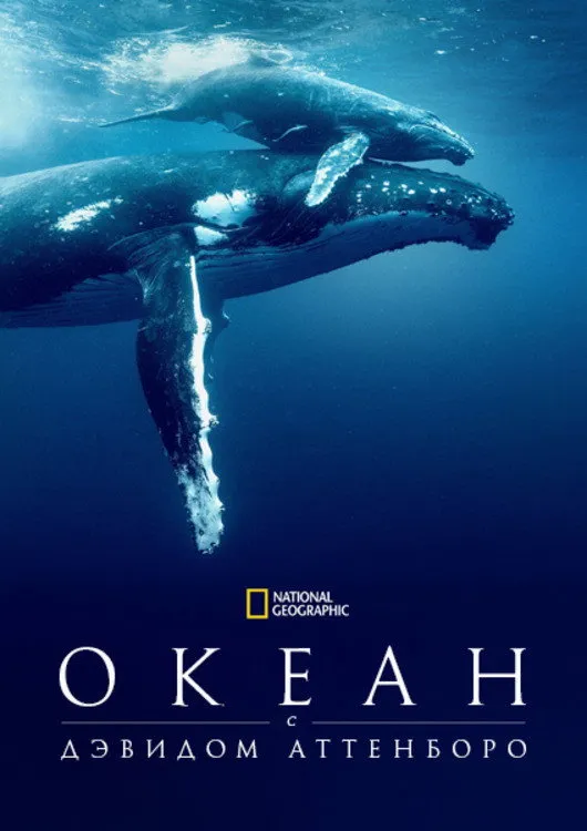 Океан с Дэвидом Аттенборо (2025) poster