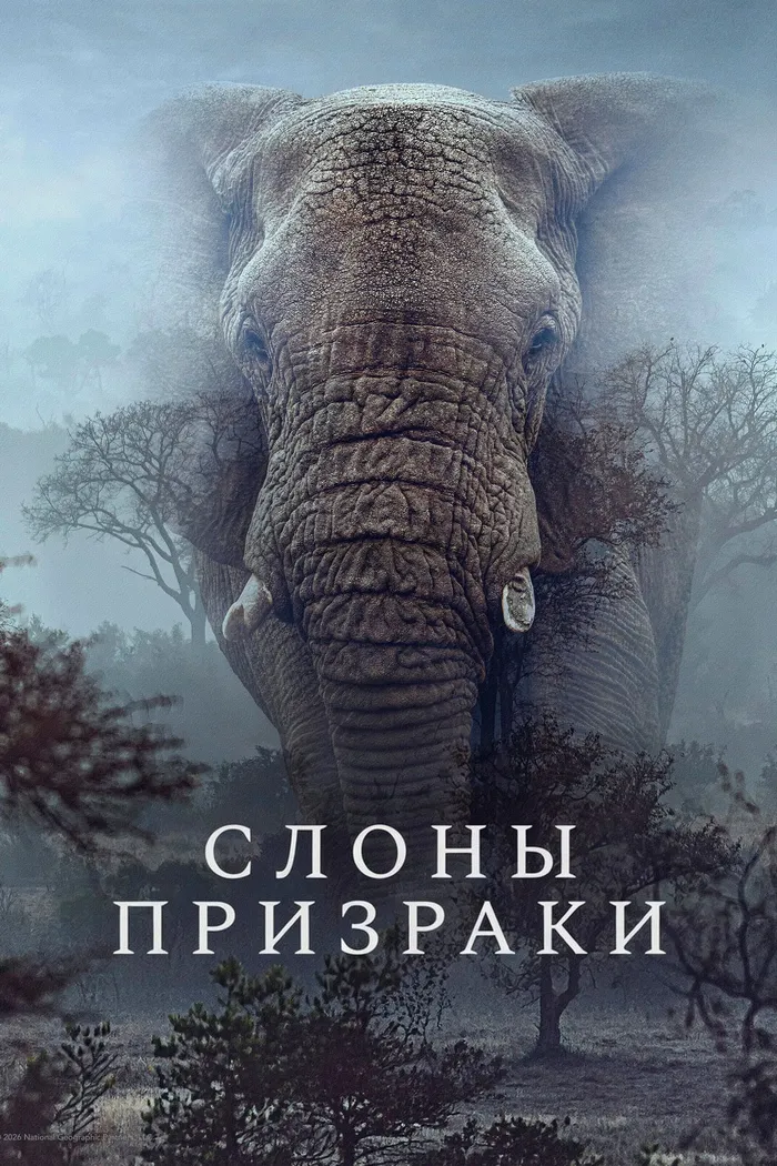 Слоны-призраки (2025) poster