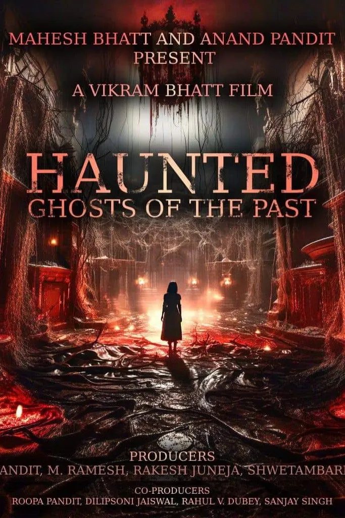 Haunted 3D: Echoes of the Past (2026) poster