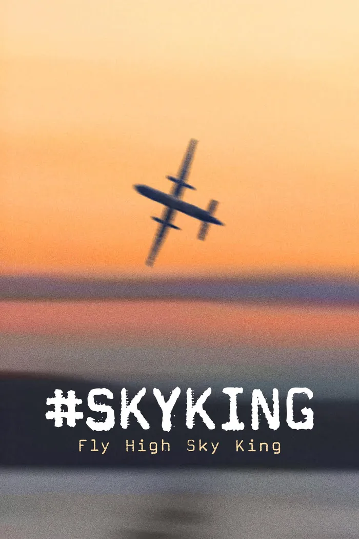#SKYKING (2026) poster