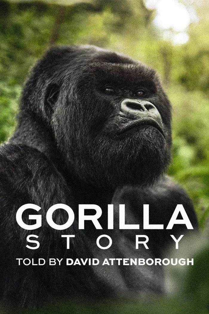 Дэвид Аттенборо. История о гориллах (2026) poster