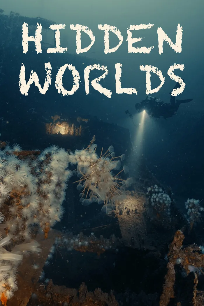 Hidden Worlds (2026) poster