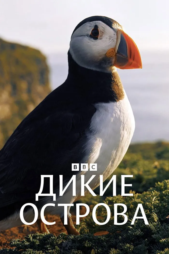 Wild Isles (2023) poster