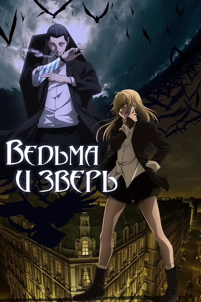 Ведьма и зверь (2024) poster