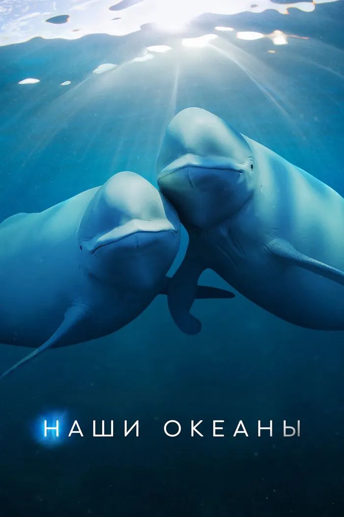 Наши океаны (2024) poster