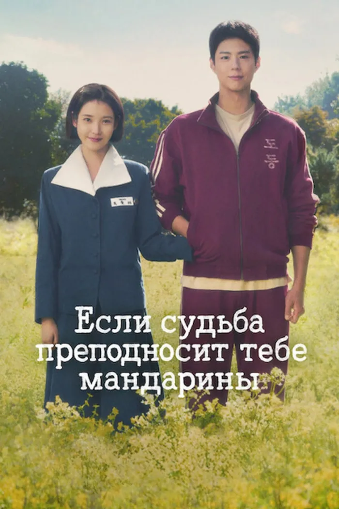 Если судьба преподносит тебе мандарины (2025) poster