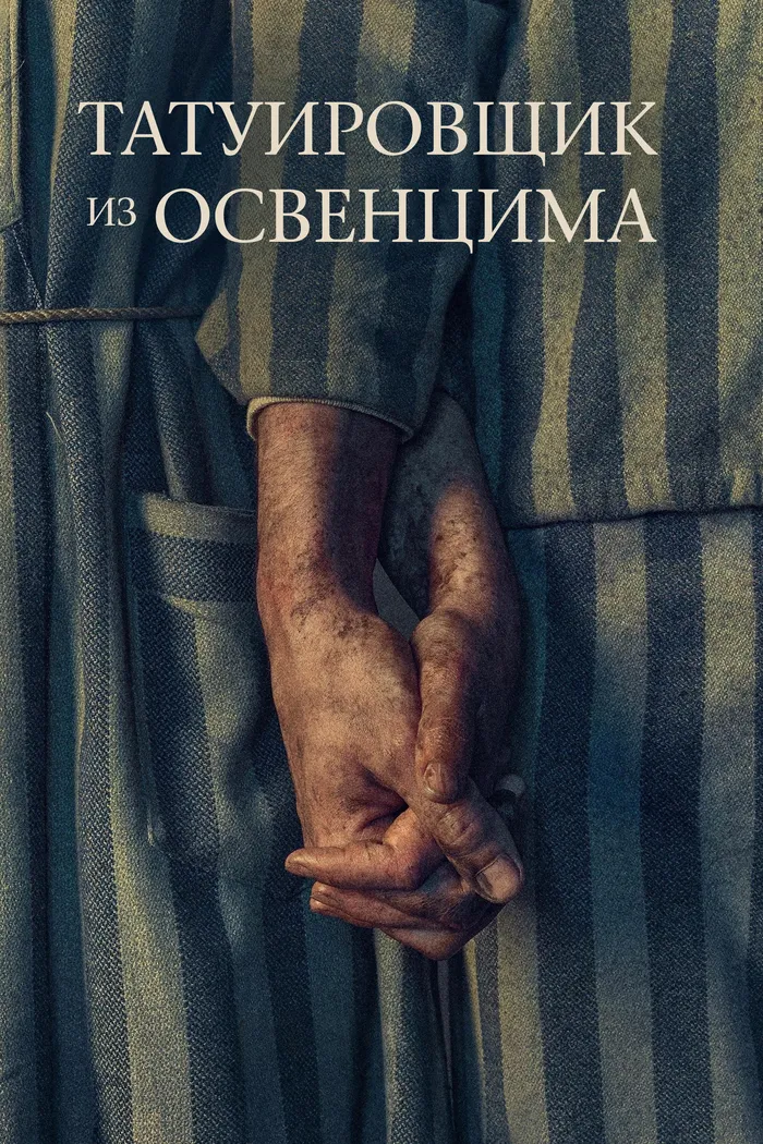 Татуировщик из Освенцима (2024) poster