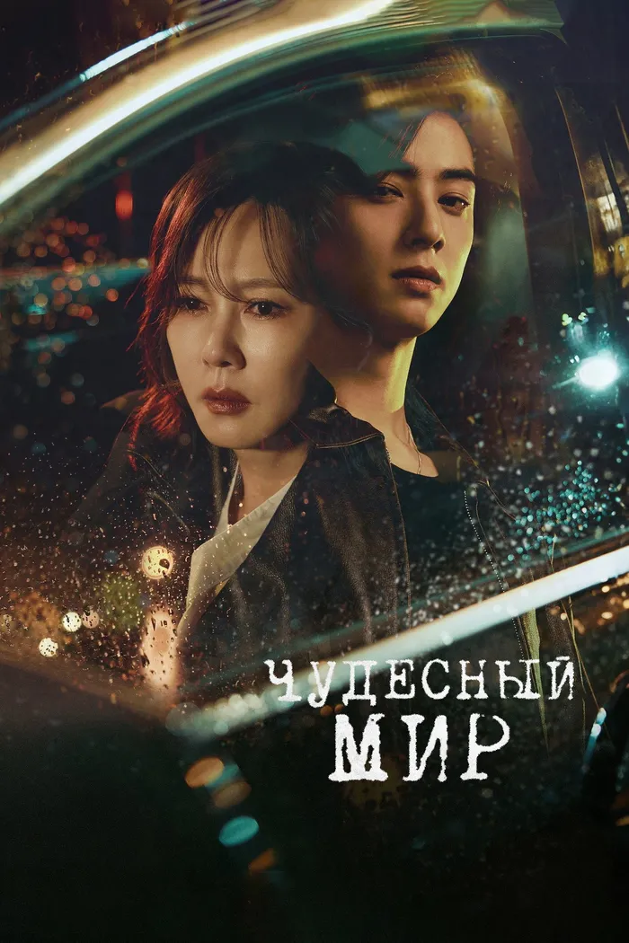 Чудесный мир (2024) poster