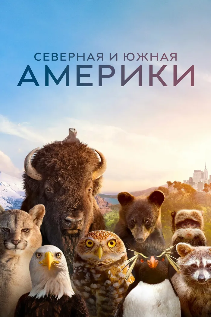 Америка (2025) poster