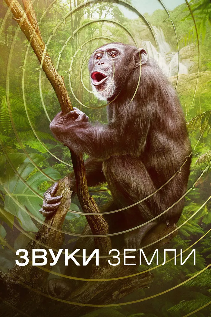 Звуки Земли (2024)