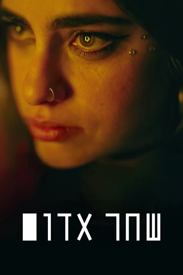 שחר אדום (2024) poster