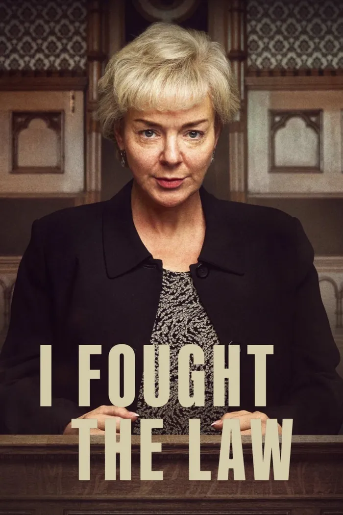 Я боролась с законом (2025) poster