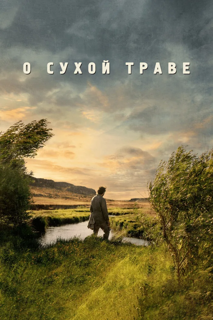 О сухой траве (2023) poster