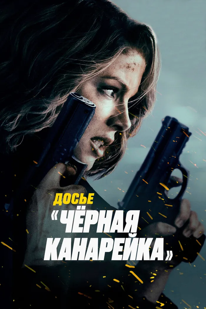 Досье «Чёрная канарейка» (2024) poster