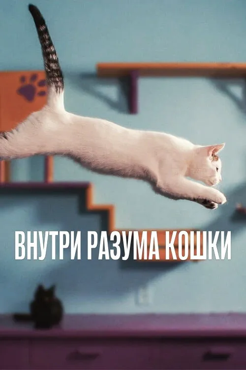 Внутри разума кошки (2022) poster