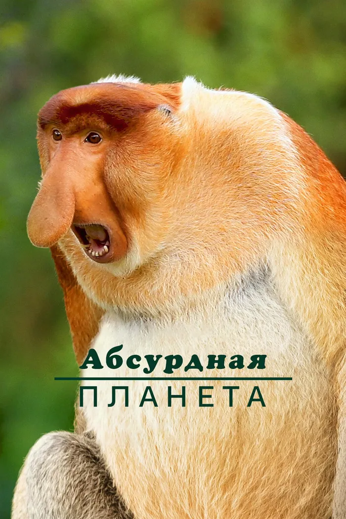 Абсурдная планета (2020) poster
