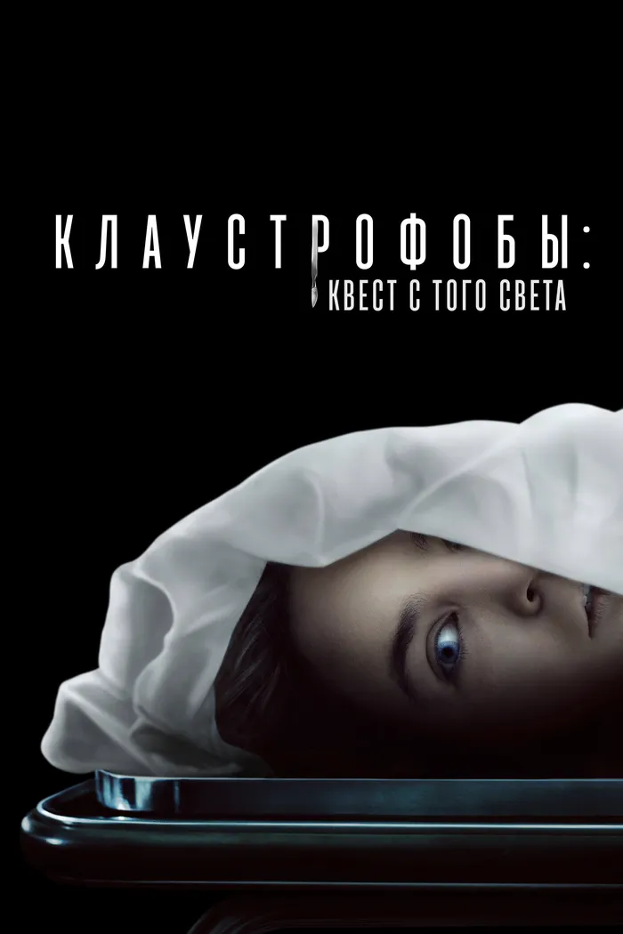 Клаустрофобы: Квест с того света (2022) poster