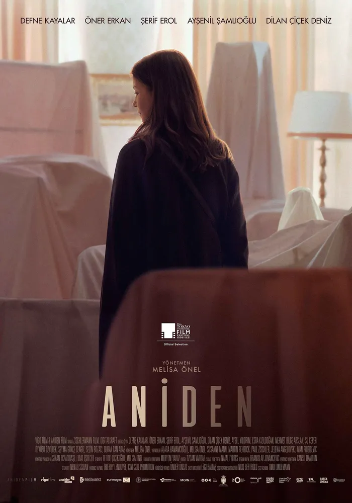 Aniden (2022) poster