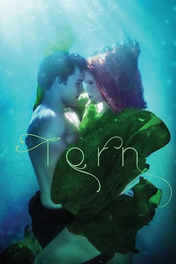 Torn (2022) poster