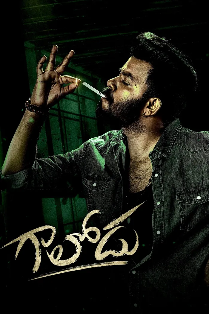 గాలోడు (2022) poster