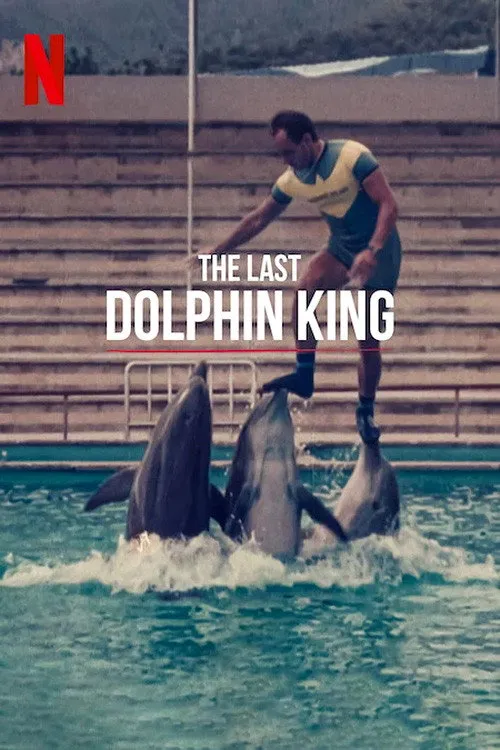 ¿Qué le pasó al rey de los delfines? (2022) poster