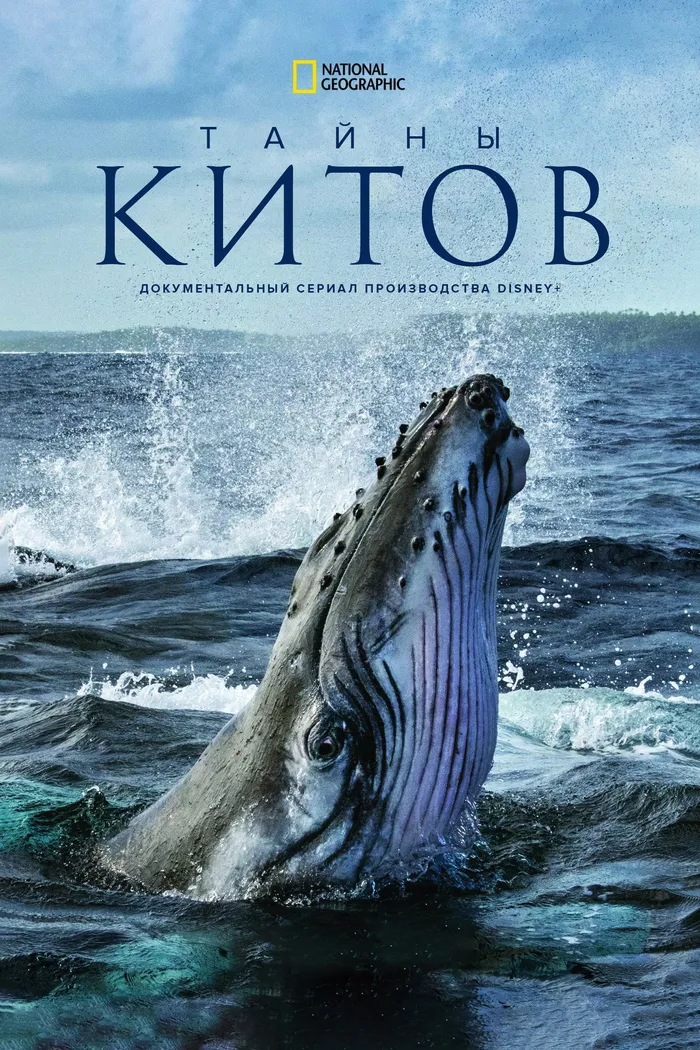 Секреты китов (2021)