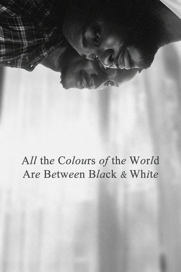 All the Colours of the World Are Between Black and White (2023) poster