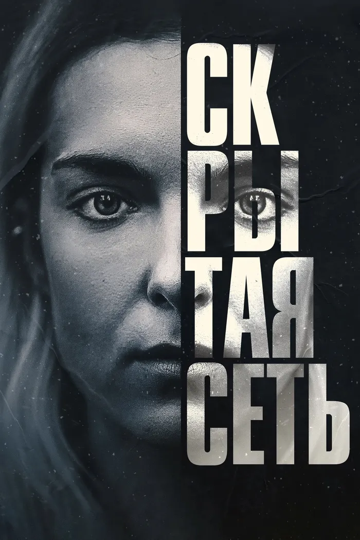 Скрытая сеть (2023) poster