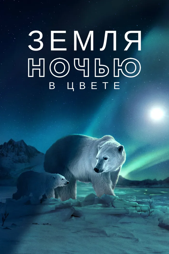 Земля ночью в цвете (2020) poster