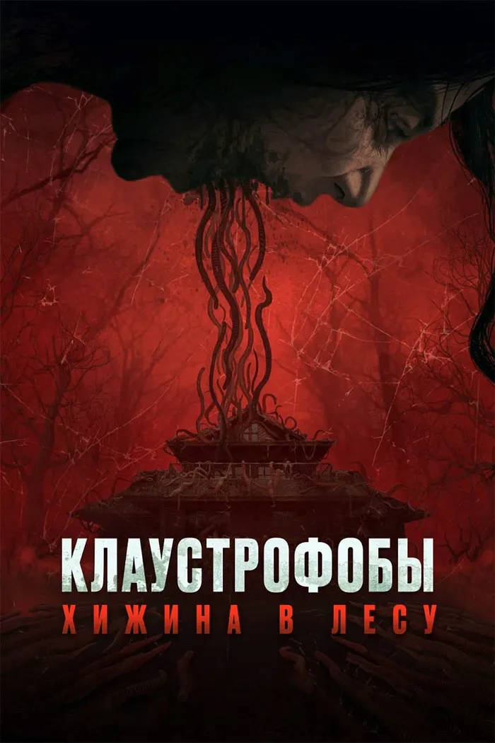 Клаустрофобы: Хижина в лесу (2023) poster