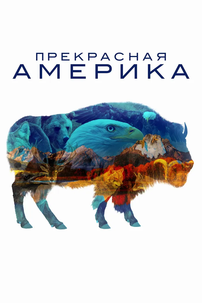 America the Beautiful (2022) poster